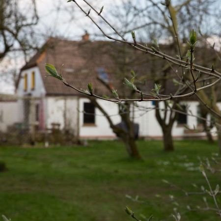 Goldhammer Neuburg  Eksteriør bilde